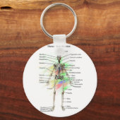 Kwaliteit van de mannetjescel sleutelhanger (Voorkant)