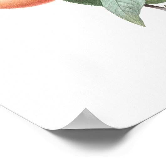 KWALITEIT VAN HOOGSTE KWALITEIT Botanische afdruk Poster (Hoek)