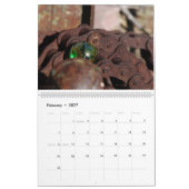 Kwaliteit van Q II Kalender (Feb 2027)