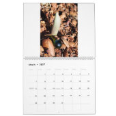 Kwaliteit van Q II Kalender (Mar 2027)