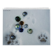 Kwaliteit van Q II Kalender (Hoes)