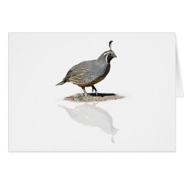 KWALITEITSGERICHT (Voorkant Horizontaal)