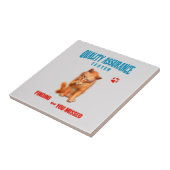 Kwaliteitstester Kattenhumor Tegeltje (Zijkant)