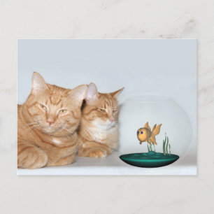 Kwaliteitstijd delen briefkaart