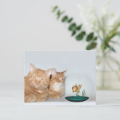 Kwaliteitstijd delen briefkaart (Staand voorkant)