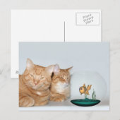 Kwaliteitstijd delen briefkaart (Voorkant / Achterkant)