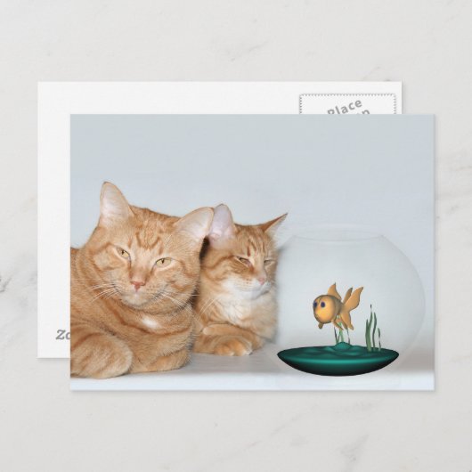 Kwaliteitstijd delen briefkaart (Voorkant / Achterkant)