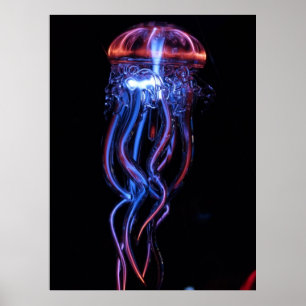kwallen-113384 AMAZING PHOTOGRAFIE SEALIFE Jelly Poster
