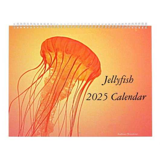 Kwallen 2025 Kalender (Hoes)
