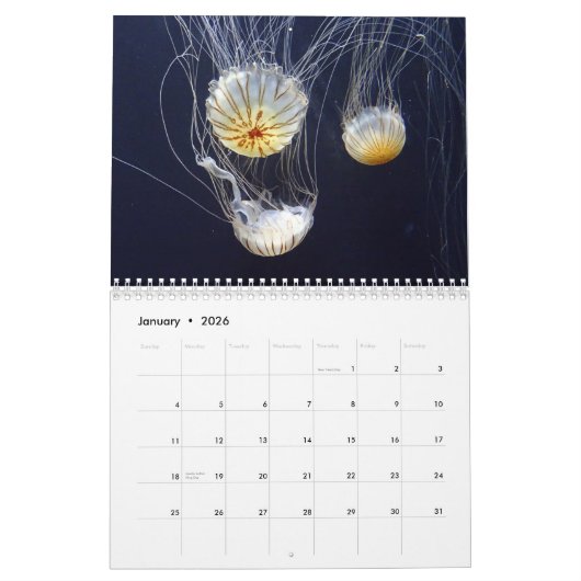 Kwallen 2025 kalender (Jan 2026)