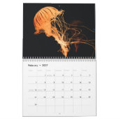 Kwallen 2025 kalender (Feb 2027)