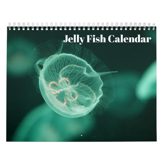 Kwallen 2025 kalender (Hoes)