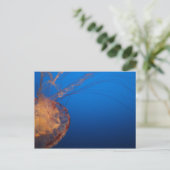 Kwallen #5 briefkaart (Staand voorkant)