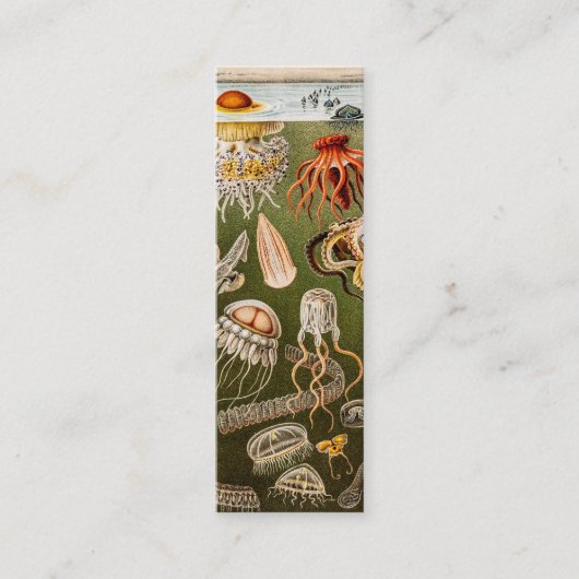 kwallen Antiek Jelly Fish Illustration Mini Visitekaartje (Voorkant)