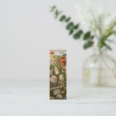 kwallen Antiek Jelly Fish Illustration Mini Visitekaartje (Staand voorkant)