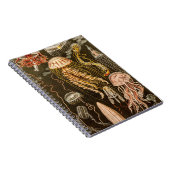 kwallen Antiek Jelly Fish Illustration Notitieboek (Rechterzijde)