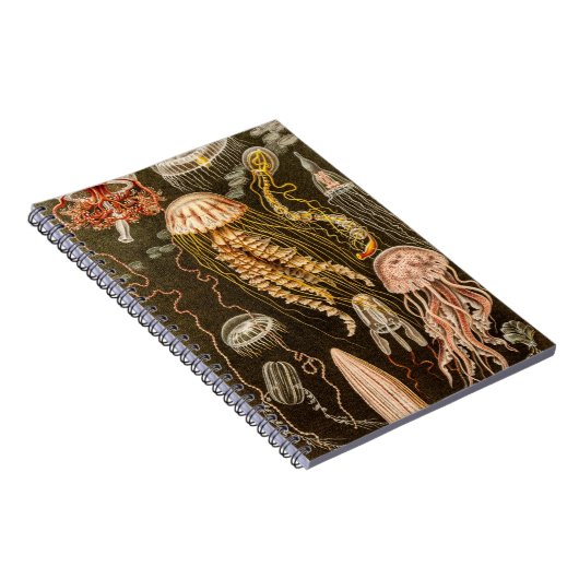  kwallen Antiek Jelly Fish Illustration Notitieboek (Rechterzijde)