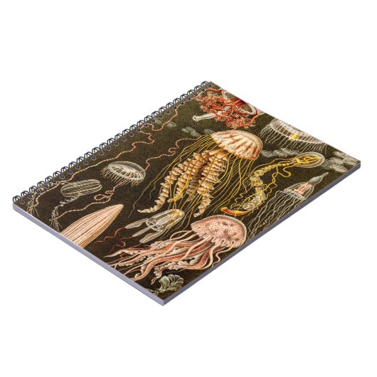  kwallen Antiek Jelly Fish Illustration Notitieboek (Linkerzijde)