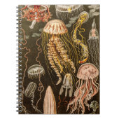  kwallen Antiek Jelly Fish Illustration Notitieboek (Voorkant)