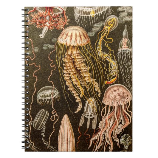 kwallen Antiek Jelly Fish Illustration Notitieboek (Voorkant)