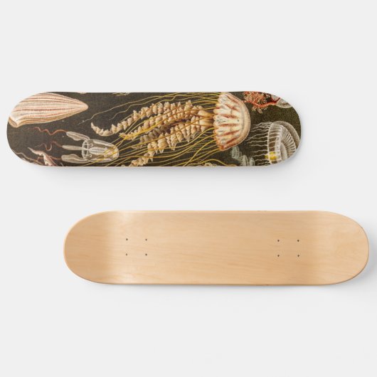  kwallen Antiek Jelly Fish Illustration Persoonlijk Skateboard (Horizontaal)