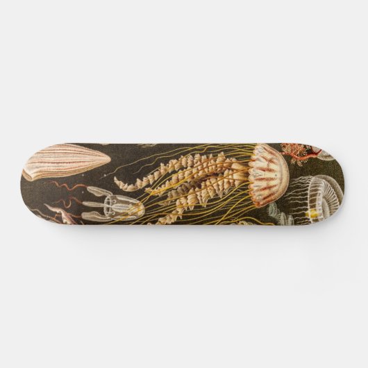 kwallen Antiek Jelly Fish Illustration Persoonlijk Skateboard (Horizontaal)