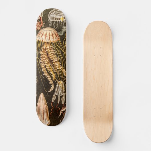  kwallen Antiek Jelly Fish Illustration Persoonlijk Skateboard (Voorkant)