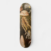  kwallen Antiek Jelly Fish Illustration Persoonlijk Skateboard (Voorkant)