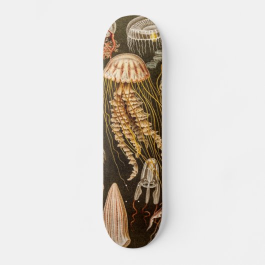  kwallen Antiek Jelly Fish Illustration Persoonlijk Skateboard (Voorkant)