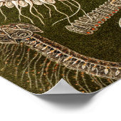  kwallen Antiek Jelly Fish Illustration Poster (Hoek)