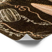  kwallen Antiek Jelly Fish Illustration Poster (Hoek)