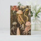  kwallen Antiek Jelly Fish Illustration RSVP Kaartje (Staand voorkant)