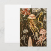  kwallen Antiek Jelly Fish Illustration RSVP Kaartje (Voorkant / Achterkant)