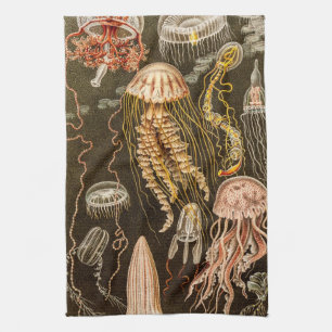 kwallen Antiek Jelly Fish Illustration Theedoek