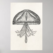  kwallen Antiek Jellyfish Sjabloon Poster (Voorkant)