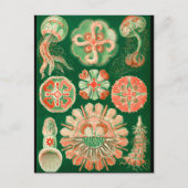 Kwallen Briefkaart (Voorkant)