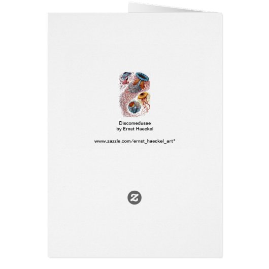  kwallen door Ernst Haeckel, Discomedusae (Achterkant)