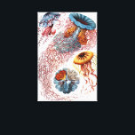 kwallen door Ernst Haeckel, Discomedusae Canvas Afdruk<br><div class="desc">illustratie van het biologie van het mariene leven van Ernst Haeckel. In de wateren van het zee zwemmen allerlei kleurrijke kwallen. Jonge vissen zijn waterdieren die vrij zwemmen met een parapluvormig lichaam en lange sleeptentakels. Ze zijn te vinden in alle oceanen en sommige in zoetwatermeren en rivieren.</div>