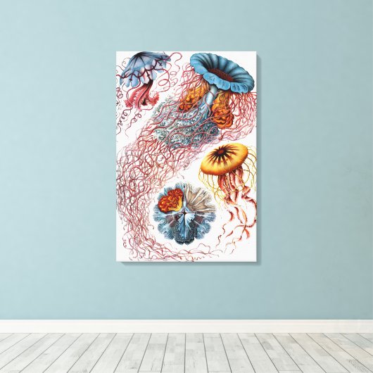 kwallen door Ernst Haeckel, Discomedusae Canvas Afdruk (Insitu (Houten vloer))