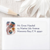  kwallen door Ernst Haeckel, Discomedusae Etiket (Insitu)