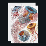 kwallen door Ernst Haeckel, Discomedusae Kaart<br><div class="desc">Eenvoudig te personaliseren, klik gewoon op de knop "aanpassen" en gebruik de ontwerptools om een unieke uitnodiging of aankondiging te creëer. illustratie mariene biologie ontwerp door Ernst Haeckel. Een verscheidenheid van kleurrijke kwallen dieren zwemmen in de wateren van het zee. Geleivissen zijn vrij zwemmende waterdieren met een parapluvormig lichaam en...</div>