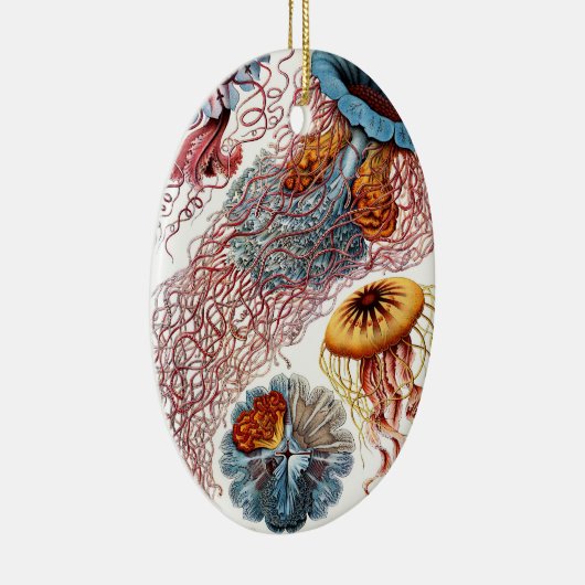  kwallen door Ernst Haeckel, Discomedusae Keramisch Ornament (Rechts)