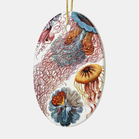  kwallen door Ernst Haeckel, Discomedusae Keramisch Ornament (Links)