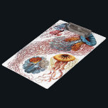 kwallen door Ernst Haeckel, Discomedusae Klembord<br><div class="desc">illustratie van het biologie van het mariene leven van Ernst Haeckel. In de wateren van het zee zwemmen allerlei kleurrijke kwallen. Jonge vissen zijn waterdieren die vrij zwemmen met een parapluvormig lichaam en lange sleeptentakels. Ze zijn te vinden in alle oceanen en sommige in zoetwatermeren en rivieren.</div>