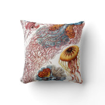  kwallen door Ernst Haeckel, Discomedusae