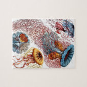 kwallen door Ernst Haeckel, Discomedusae Legpuzzel (Horizontaal)