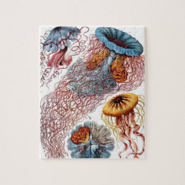  kwallen door Ernst Haeckel, Discomedusae Legpuzzel