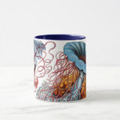  kwallen door Ernst Haeckel, Discomedusae Mok (Midden)