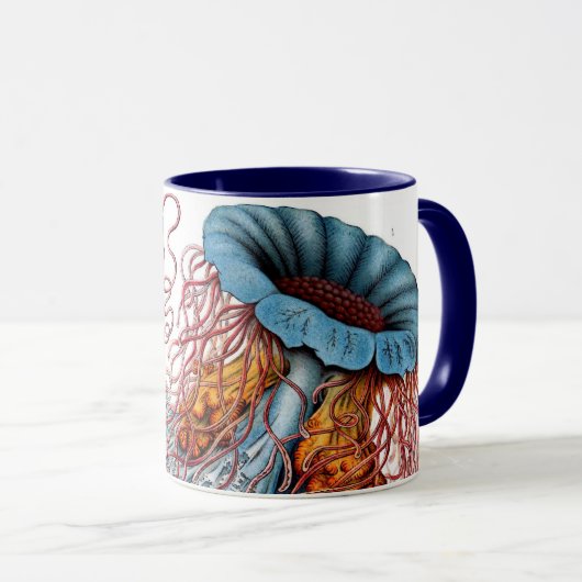  kwallen door Ernst Haeckel, Discomedusae Mok (Voorkant rechts)