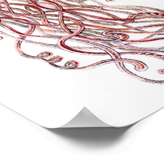  kwallen door Ernst Haeckel, Discomedusae Poster (Hoek)